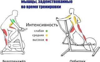Что эффективнее велотренажер или эллиптический тренажер