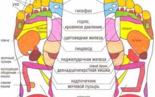 Как выбрать массажер для ног и ступней — Рейтинг лучших массажеров для ног