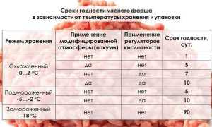 Срок хранения фарша в холодильнике, морозилке и эффективные методы организации пространства для хранения продуктов