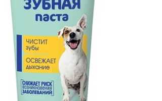 Рейтинг зубных паст для кошек и собак