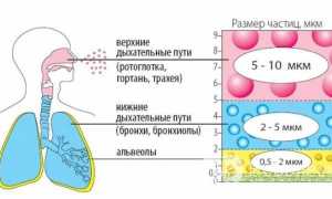 Какой небулайзер лучше, компрессорный или ультразвуковой