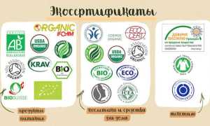 Какой стиральный порошок лучше – Рейтинг стиральных порошков