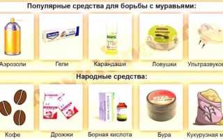 Средства от домашних муравьев — обзор гелей, аэрозолей, концентратов и мелков
