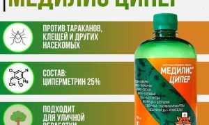 Медилис Ципер — подробная инструкция по применению для эффективного избавления от насекомых