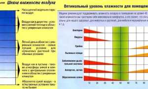 Норма влажности воздуха в квартире