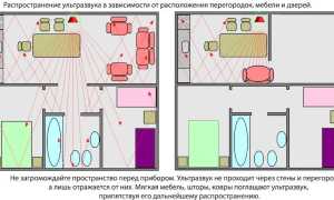 Ультразвук от тараканов — эффективное средство борьбы или маркетинговый ход