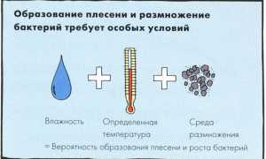 Как избавиться от плесени в холодильнике