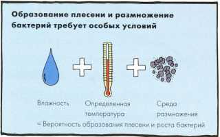 Как избавиться от плесени в холодильнике
