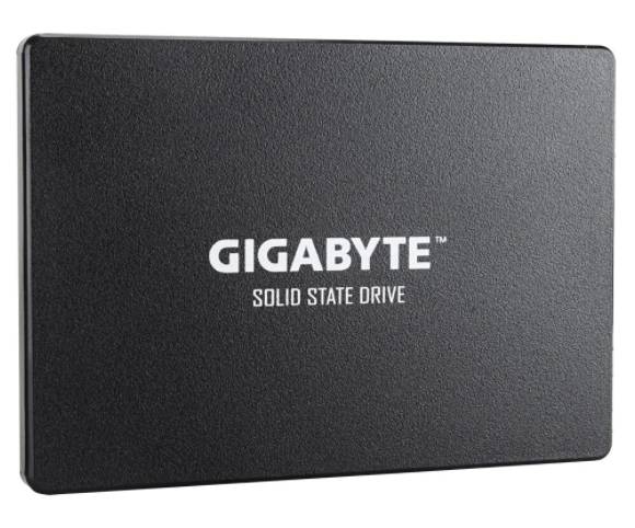 GIGABYTE 256 GB SSD 256GB (GP-GSTFS31256GTND)