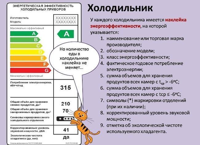 Как и какой холодильник выбрать для дома - ТОП 8 лучших