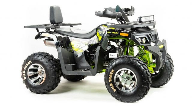 Квадроцикл Promax Wild 300 Pro