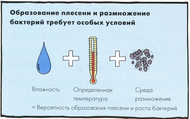 Как избавиться от плесени в холодильнике