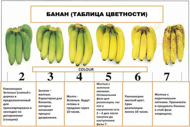 Как правильно хранить бананы в домашних условиях, чтобы зеленые плоды превратились в желтые, а спелые желтые не потемнели и не стали черными