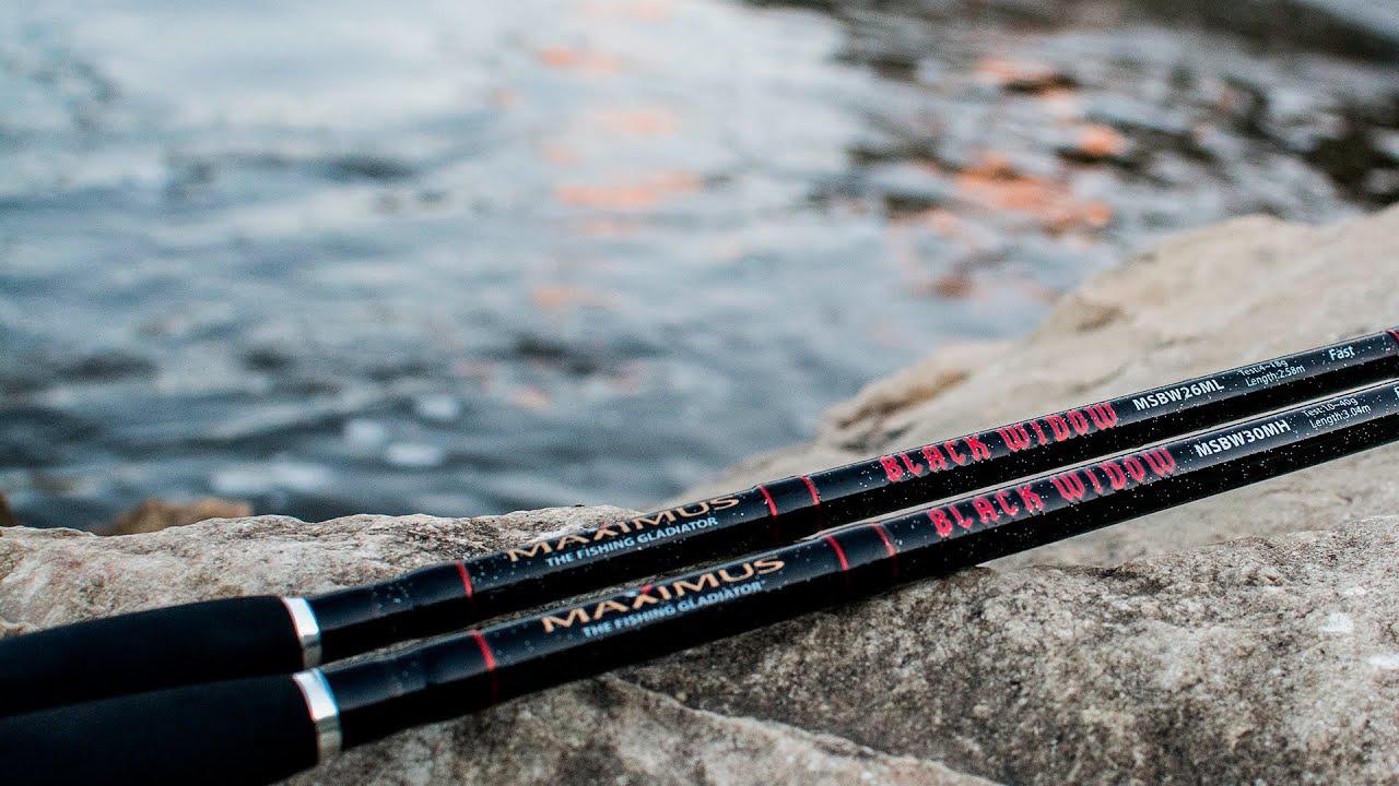 Maximus Black Widow MSBW24ML