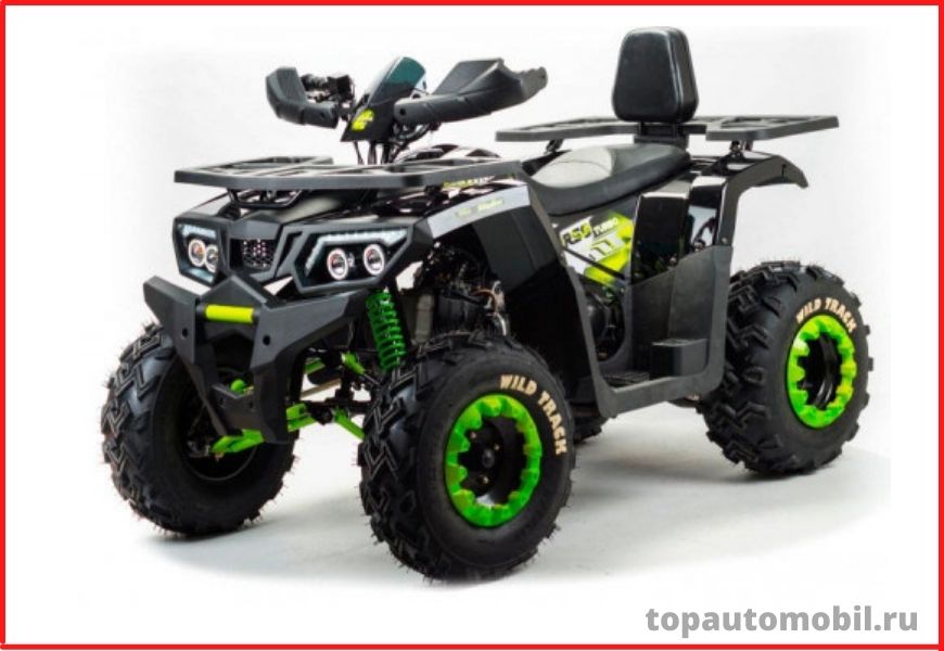 Motoland Wild Track Lux 200