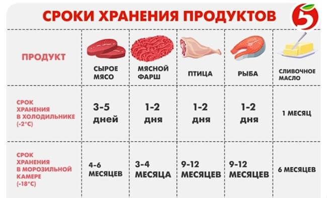 Срок хранения фарша в холодильнике, морозилке и эффективные методы организации пространства для хранения продуктов