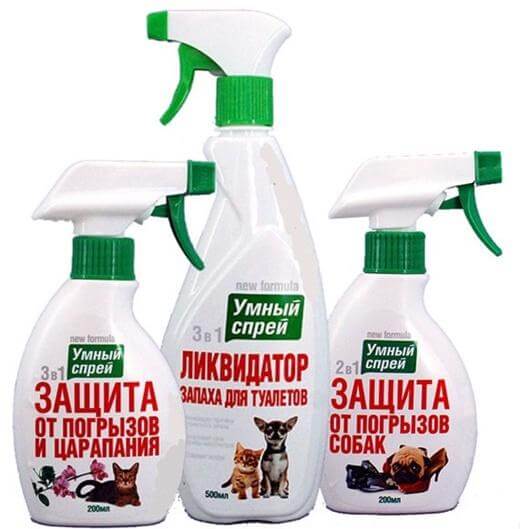 Чем вывести запах кошачьей мочи с дивана: 14 способов как убрать запах кота быстро и эффективно