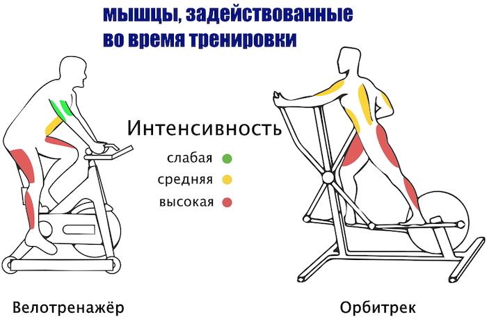 Что эффективнее велотренажер или эллиптический тренажер
