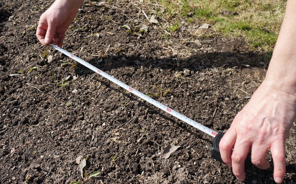 Как зарегистрировать излишки земли в собственность