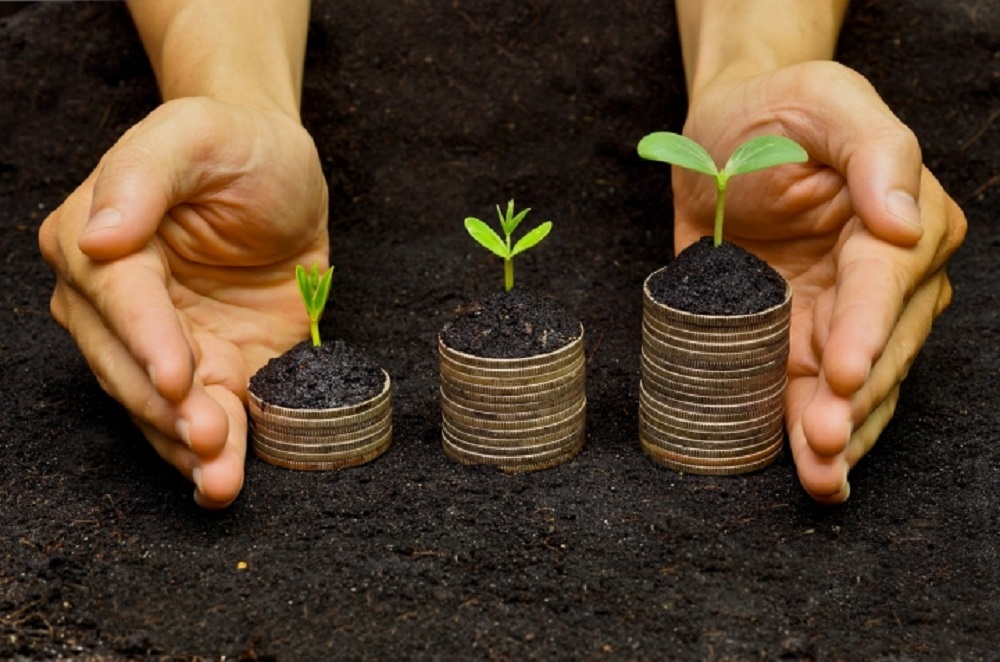 Как зарегистрировать излишки земли в собственность